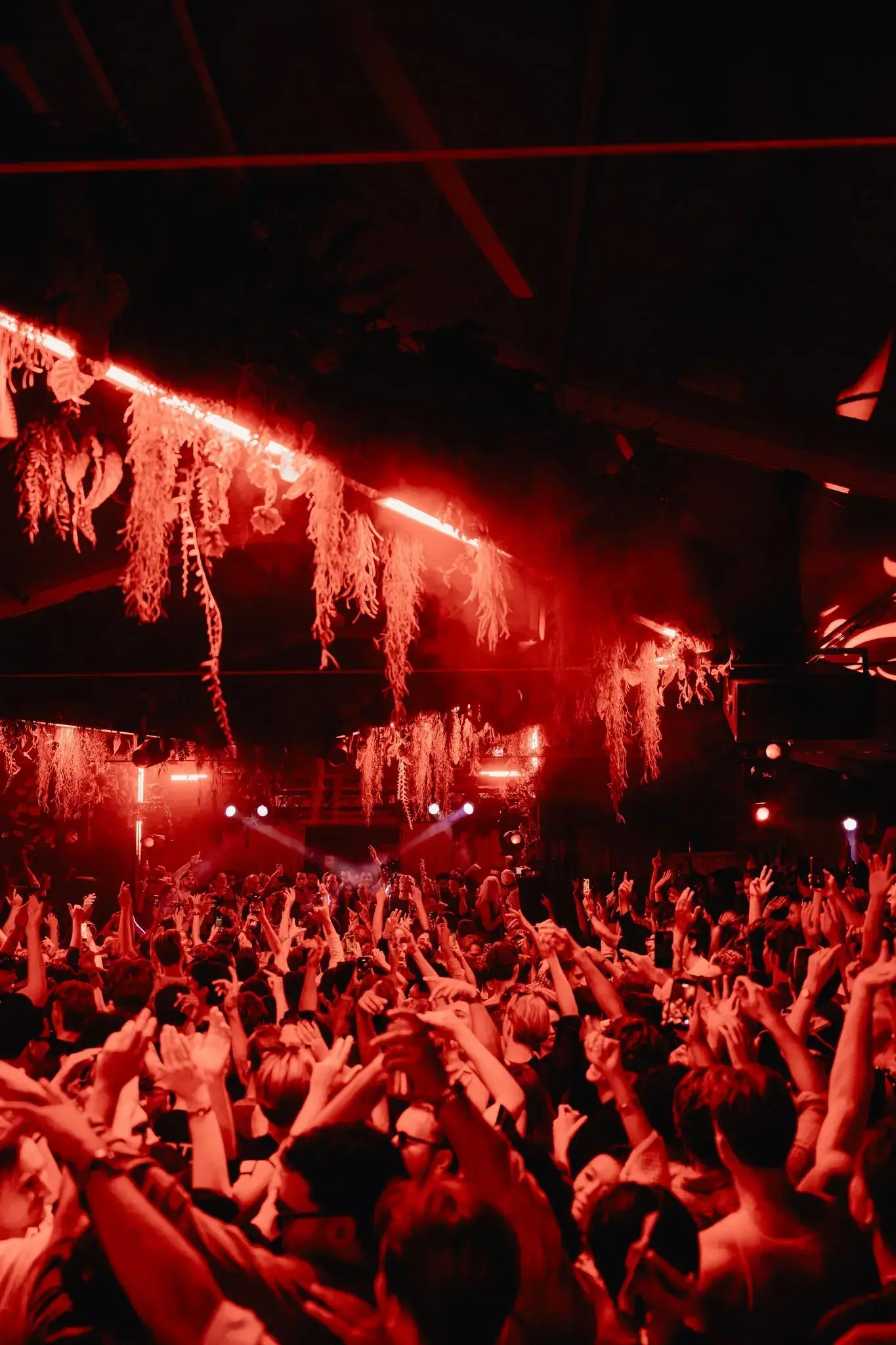 A packed Colorado Charlie dance floor under red lights